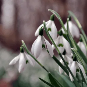 Spomladanska utrujenost